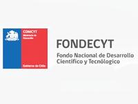 Concurso Fondecyt  de Postgrado 2013