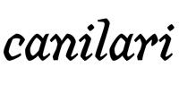 La tipografía Canilari, de Patricio González.