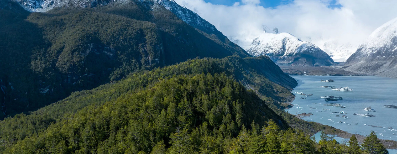 Gentrificación verde: el fenómeno que transforma y desplaza a comunidades rurales en Aysén