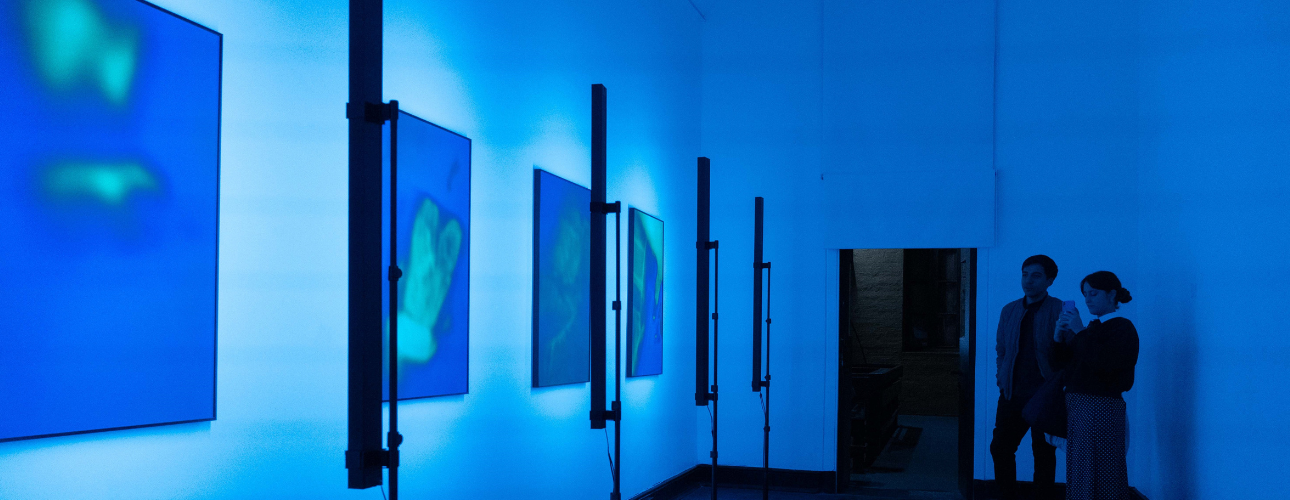 Nueva Exposición en FAU: Medidas intrusivas