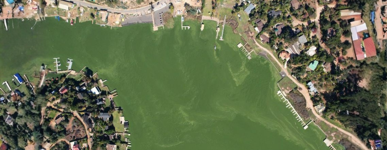 El desastre ambiental del lago Vichuquén