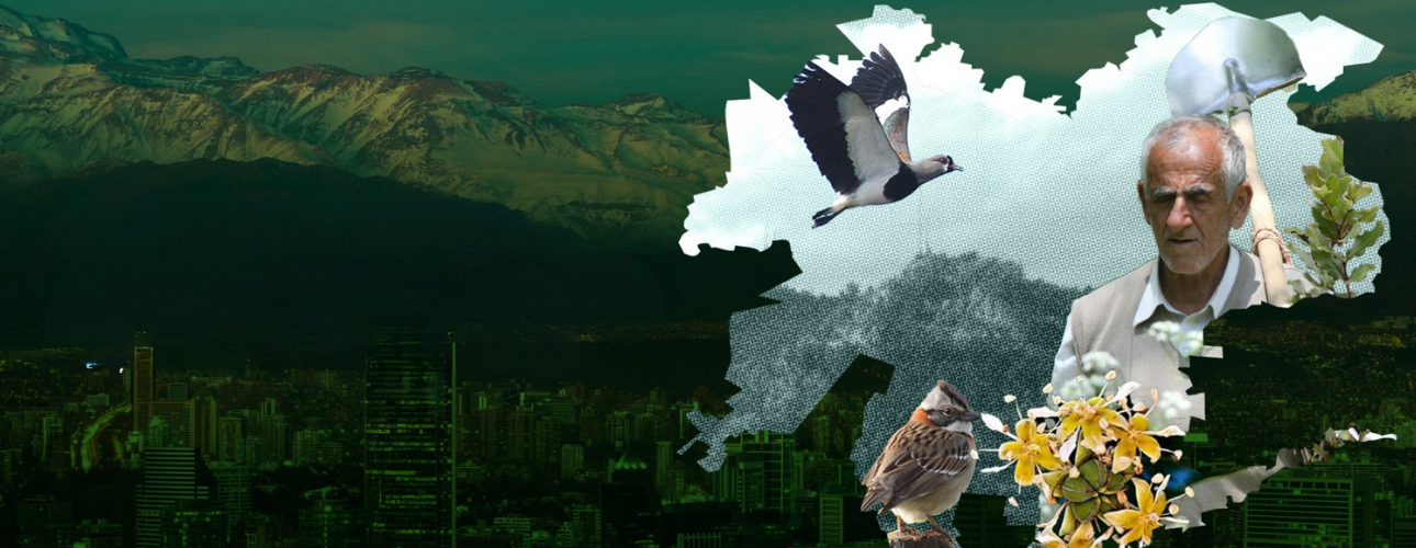 Instituciones, comunidades y datos: las claves para la transformación de los territorios frente a la crisis climática