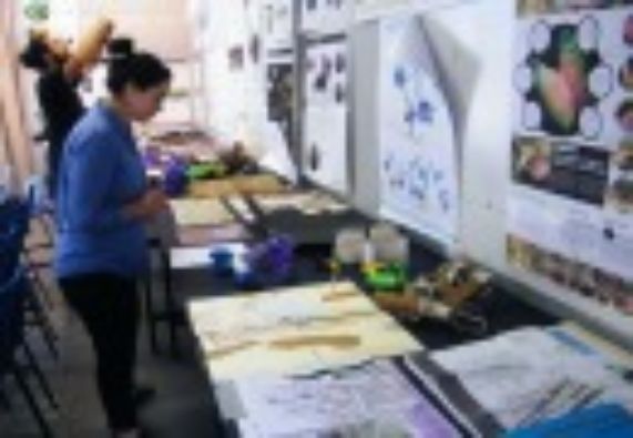 Estudiantes de Diseño expusieron novedosos trabajos de curso de biónica