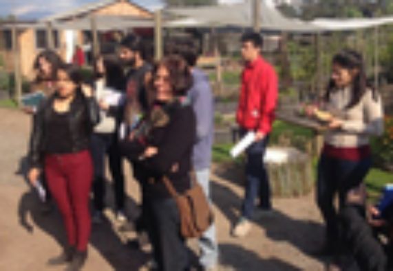 CFG Territorio y Políticas Públicas realizó visita a La Pintana